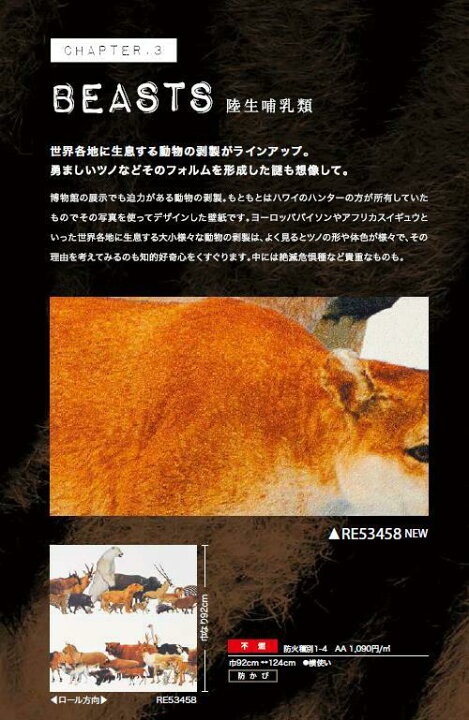 楽天市場 のりなし壁紙 不燃 防カビ 国立科学博物館 陸上哺乳類 サンゲツリザーブ1000 Reserveクロス デザイン 多彩 個性 おしゃれ 東鵬 建材販売店