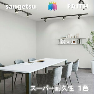 ̂Ȃǎ vWFN^[p X[p[ϋv sR hJr R \ʋ tBh~ TQctFCX SANGETSU FAITH NX fUC   