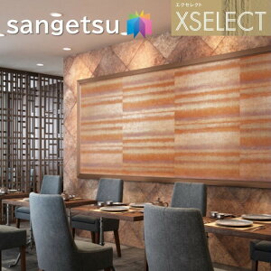 ǎ TQc ̂Ȃǎ GNZNg P & W SGB2355`SGB2356 XSELECT 2021-2024 NX fUC ǎ R[fBl[g