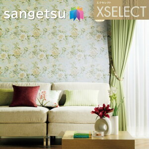 ǎ TQc ̂Ȃǎ GNZNg Sanderson SGB2397 XSELECT 2021-2024 NX fUC ǎ R[fBl[g