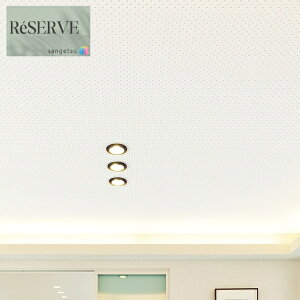 ̂ȂǎYǎ V sR h OZ[ 92.5cm TQc U[u SANGETSU RESERVE NX fUC    RESERVE 2024-2027