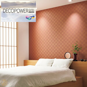 ���� -�f�R�p���[�@�����r�j�������n�ǎ��@�W���p���@WVP8146-WVP8156