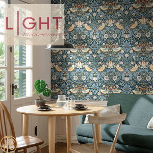 ̂ȂYǎ J NX 93cm sR sR h LL6288  C ǎ\ւ  VA D_ Lilycolor Cg 2025-2028