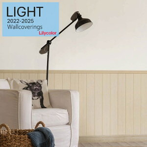 ̂ȂYǎ J NX sR sR h~ h X[p[ R Lilycolor Cg2022-2025  C ǎ\ւ L q Lb` gC  LL-7944-LL-7949