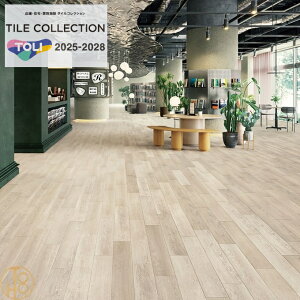 yP[Xz   CEbh rj^C 150×9003mm PWT4201`PWT4204 ` I[N ؖڕ tA^C TOLI ROYALSTONE tA}bg ^C  JtF  tA[^C 