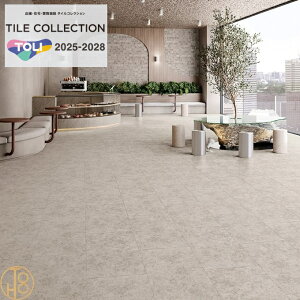 yP[Xz   C[NEANW-EX rj^C 450×9003mm ECT6031 ECT6032 ` VL[go[` tA^C TOLI NO WAX tA}bg ^C  JtF  tA