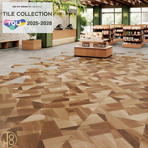 yP[Xz   C[NEegNW-EX rj^C sӎlp` 3mm ECT6101 oAgEbh ؖڕ tA^C TOLI R RECXH tA}bg ^C  Jt