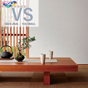  VS ̂Ȃ ʎYNX VS2004 sR hJr y R R[g Xgb` \ʂ TORI Ǒ d肪LCȕǎ