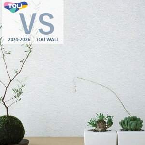  VS ̂Ȃ ʎYNX VS2023 sR hJr y R R[g Xgb` \ʂ TORI Ǒ IׂJ[fUC