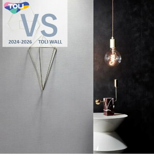  VS ̂Ȃ ʎYNX VS2045 sR hJr y R R[g Xgb` \ʂ TORI Ǒ IׂJ[fUC D