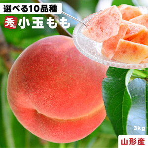 R`Y   Gi 3kg Iׂ10i 12`14  ܂ǂ 쒆 ǂ낫    ނ  ɒB 1ʖ220`250g ʁi󂠂j炨I R`̓