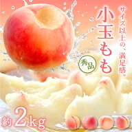 桃 小玉 秀品 2kg 山形県産 選べる10品種 8～10玉 あかつき まどか 川中島白桃 おどろき 美月 美晴白桃 …