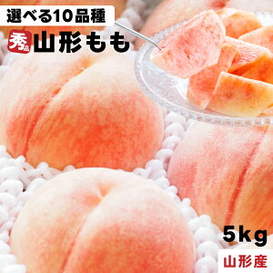 R`Y  Gi 5kg Iׂ10i 16`18  Mtg  ܂ǂ 쒆 ǂ낫    ނ  ɒB 1ʖ270`310g 蕨 R`̓͂ 