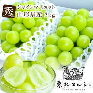 シャインマスカット 秀品 2kg 4房入り 山形県産 1房約500g 大房 ギフト ぶどう 贈答品質 送料無料 産地厳…