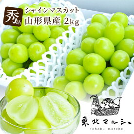 シャインマスカット 秀品 2kg 4房入り 山形県産 1房約500g 大房 ギフト ぶどう 贈答品質 送料無料 産地厳選 皮ごと食べられる 種なし ブドウ シャイン 高糖度 おいしい マスカット 新鮮 産地直送 フルーツ 甘い 果物 秋の味覚 プレゼント 贈り物 人気