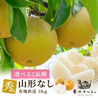 梨 秀品 3kg 山形県産 選べる2品種 6～12玉 幸水 豊水 なし ナシ 送料無料 幸水梨 豊水梨 幸水なし 豊水…