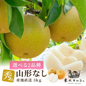 梨 秀品 3kg 山形県産 選べる2品種 6～12玉 幸水 豊水 なし ナシ 送料無料 幸水梨 豊水梨 幸水なし 豊水なし フルーツ 果物 甘い おいしい 1玉約250～500g 小玉 大玉 ギフト 贈答 プレゼント 贈り物 秋 果汁たっぷり 山形の梨はおいしい 3キロ