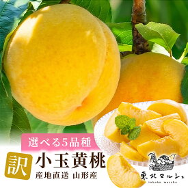 黄桃 山形県産 訳あり 小玉 選べる5品種 黄金桃 黄貴妃 光黄 きららのきわみ 西尾ゴールド 2kg 3kg 5kg 産地直送 高糖度 完熟 朝採り 食べきりサイズ クール便 家庭用 フルーツ 桃 お取り寄せ 硬い桃 固い桃 柔らかい桃 小玉（訳あり）だからお得！