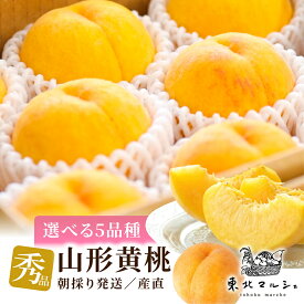 黄桃 山形県産 秀品 選べる5品種 黄金桃 黄貴妃 光黄 きららのきわみ 西尾ゴールド 2kg 3kg 5kg 贈答 ギフト 産地直送 高糖度 完熟 朝採り 食べきりサイズ クール便 フルーツ 桃 お取り寄せ おいしい桃 硬い桃 固い桃 柔らかい桃 プレゼント 果物
