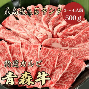 yX Jr 500g A5N / ƒpzēɂ߁b͂bo[xL[bX јa ē BBQ Jr ~ uh  ފ
