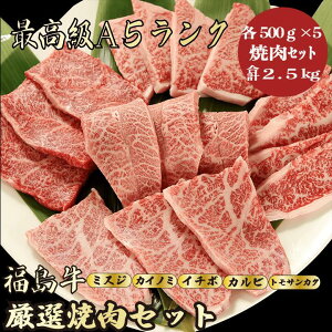 yΕE~Mtg  ēZbg v2.5kg / MtgpzbA5 јa  bNNn̑蕨ɍœK p j j