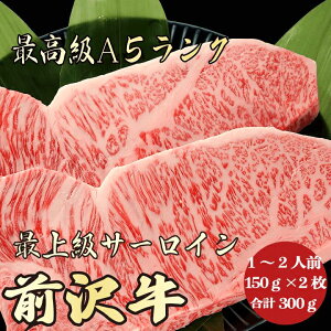 yΕE~Mtg O T[C 300g A5N / Mtgpzb㑚~ јa  bNNnÊ p j j