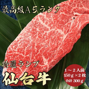 y䋍 vXe[L 300g A5N / ƒpzbƑŊyޏēbēZbgbјa  b~̂