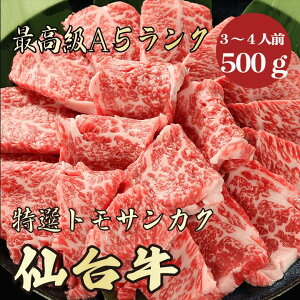 y䋍 gTJN 500g A5N / ƒpzbƑŊyޏēbēZbgbјa  b~̂