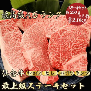 yΕE~Mtg 䋍 Xe[LZbg v2.0g / Mtgzb㑚~ јa  bNNnÊ p j j