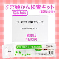 子宮頸がん 検査キット セルフチェック 郵送検診キット 子宮がん健診キット 子宮頸がん 女性用 検査 検診…