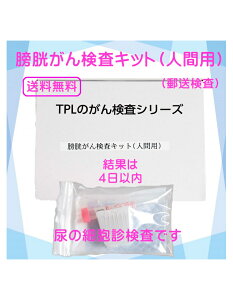 N񌟍LbgilԗpjZt`FbN N N A rAɂȂǂCɂȂ X   jp f Nff