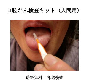 o   Lbg Zt`FbN jp X f f   JW_  