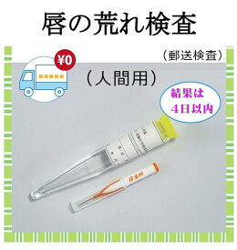 【送料無料】唇の荒れ 検査 キット カンジダ 口角炎 リップ 細胞診 郵送検査 自己採取 男女兼用 診断 安心 唇のひび 割れ