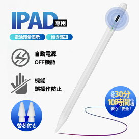 【メーカー希望小売価格3789円→1280円】タッチペン iPad 残量表示/傾き感知 ペンシル 極細 スタイラスペン iPad 第10世代 9876 Air5 4 mini6 Pro 11 12.9インチ パームリジェクション高感度