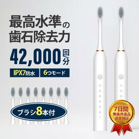 電動歯ブラシ 大人 替えブラシ 本体 歯ブラシ 防水設計 歯磨き 静音 強力 おしゃれ 携帯 歯石 子供 充電式 42000回転 IPX8