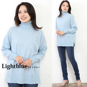 JV~100 ^[glbN Z[^[ jbg yiρzy􂢉\z JV~A fB[X n Vv vI[o[ yVRfށz ChVGbg h ΍ h