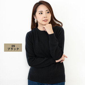 JV~100 ێvI[o[ Z[^[ jbg yiρzy􂢉\z JV~A fB[X n Vv N[lbN  yVRfށz h ΍ NX}X Mtg v