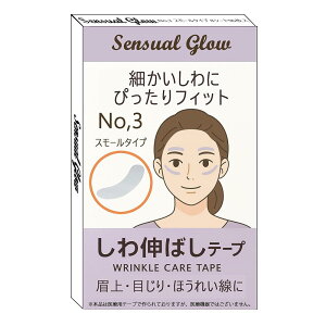 L΂e[v { QƂ  \h ee[v iCgPA ł  ڂ  قꂢ PA Wrinkle Care Tape (No,3)