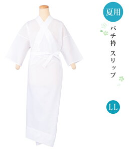 ėp o`܃Xbv  LL fB[X ܕt W { 0017-01801-W-LL