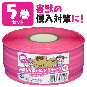 yz 5Zbg ό󐫎ʃe[v ȂZsNe[v 50mm×200m CmVV  Qb ΍  ʃe[v sNe[v sN e[v ؃e[v ϋv pi ʗp