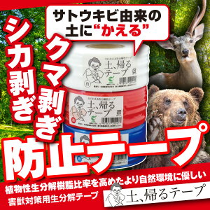 yzN}EVJh~e[vwyAAxQbQh~ Qb΍ rj[e[v e[v  Fɂ  QbQ  F F΍ ΍ ؔQ