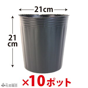 rj[|bg(a21cm) 10|bgZbg