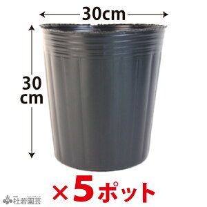 �r�j�[���|�b�g(���a30cm) 5�|�b�g�Z�b�g