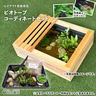 ビオトープコーディネートセット