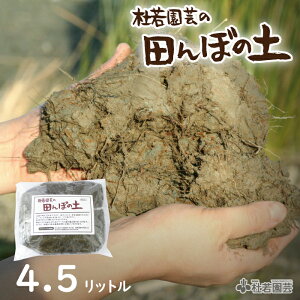 田んぼの土 4.5リットル ハス植え付け 蓮植え付け 蓮用土 蓮栽培 スイレン植え付け スイレン栽培 水生植物植え付け 水生植物栽培 自社の田んぼ 夏休みの自由研究 園芸