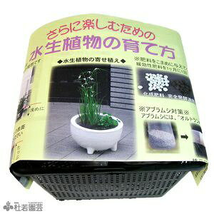 AAւZbg(p^JSEdԋʓy)