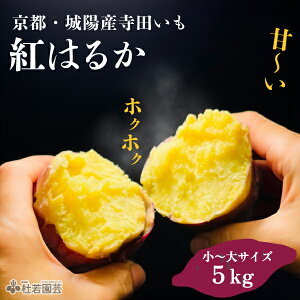 ys{Y܂zszcig͂邩j5kg