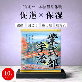 ＼送料無料／【公式】 本格名湯 温泉 入浴剤 ギフト プチギフト プレゼント 贈答 温泉の素 10包 日本製 お風呂 個包装 詰め合わせ 疲労回復 腰痛 肩こり 冷え症 睡眠 湿疹 乾燥 肌荒れ にきび 痛み 美容 美肌 保湿