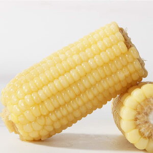 2{ 퉷ʕ  ʕ Sʕ ʕ uʕ Ƃ낱ʕ 䚕 ς ߂邾 ^pbNR[ ؐH Y 2