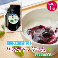 ジャム お試し 無添加 ハスカップジャム 北海道 160g(スタンドパック)×1袋 ヨーグルトソース お試し フ…